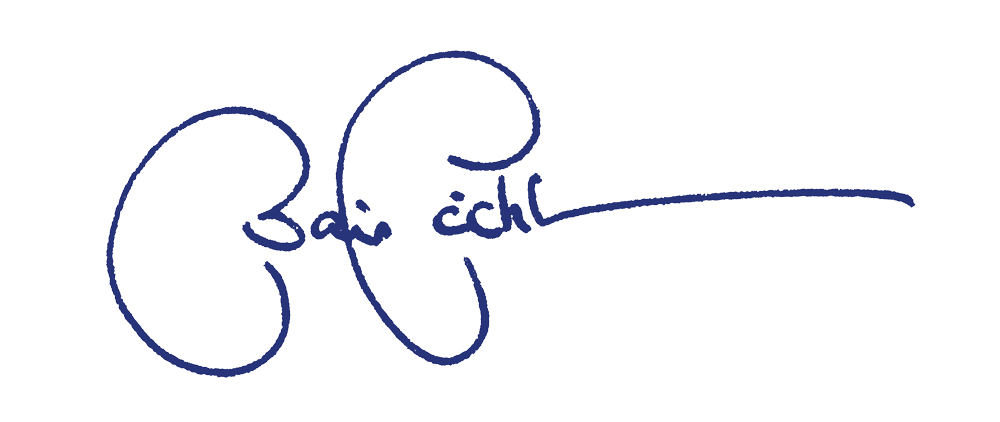 Unterschrift Boris Pichler blau