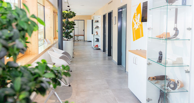 Wir von Kaphingst fertigen Prothesen in unterschiedlichen Mobilitätsgraden